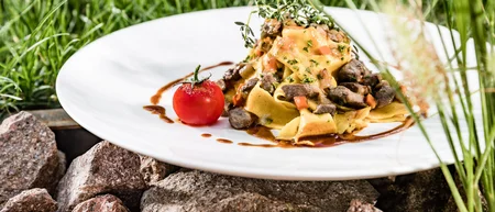 Pasta with mushrooms and tomato on a white plate outdoors on stones.