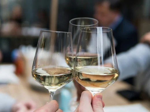 Plattenhof in Tramin: wine tasting in South Tyrol Three glasses of white wine clinking together in a social setting