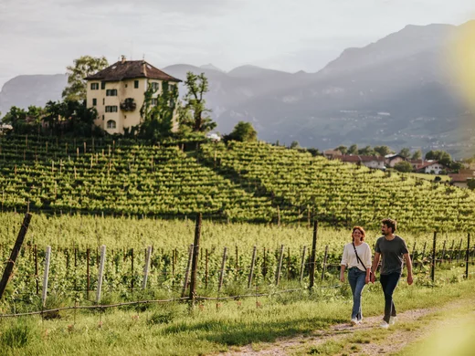Things to do around your hiking hotel near Lake Caldaro Couple walking along a path through vineyards with a house and mountains in the background.