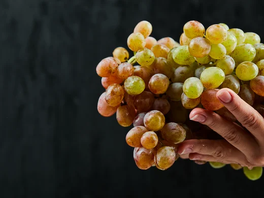 Winery in South Tyrol: indulgence at Hotel Plattenhof Hand holding a bunch of green and pink grapes against a dark background