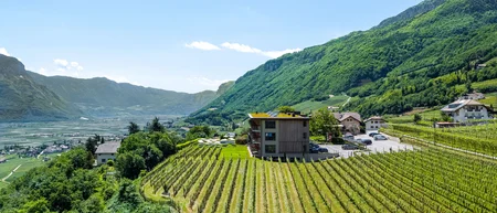 Vigneto con edificio moderno e montagne sullo sfondo sotto un cielo sereno