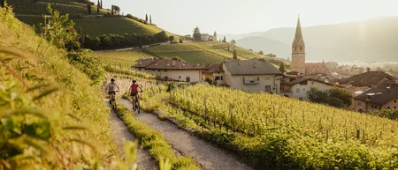 Two cyclists on a path through vineyards with a village and church steeple in the background.