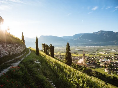 Sonnenaufgang über Weinbergen mit Blick auf Dorf und Berge im Tal