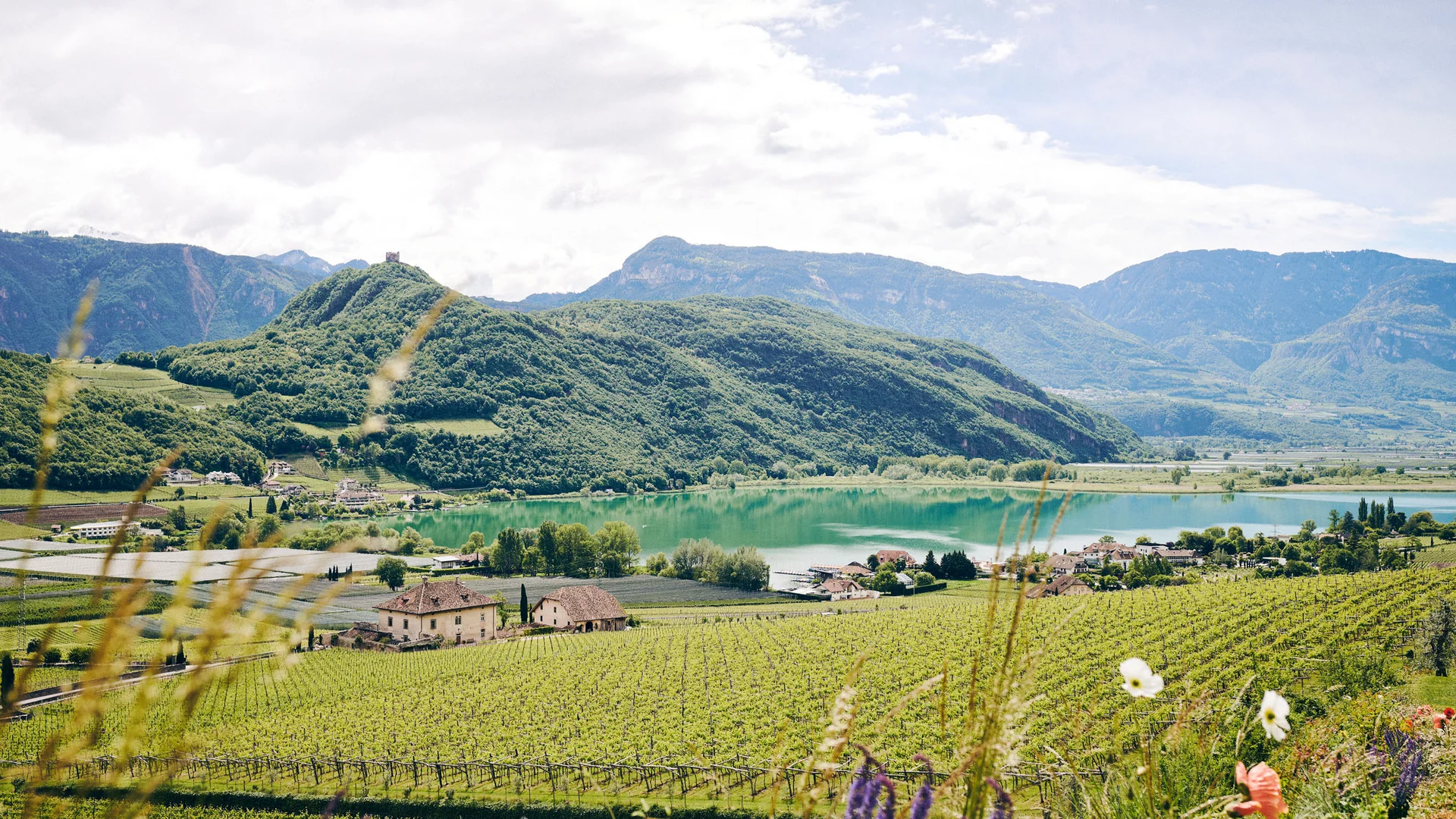 Things to do around your hiking hotel near Lake Caldaro View of vineyards, houses and lake in front of wooded mountains under a cloudy sky